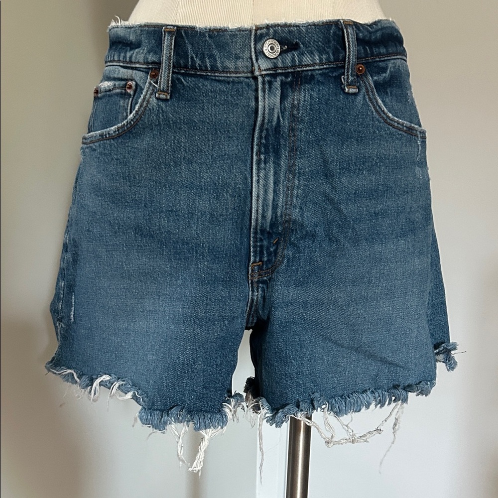 Abercrombie & Fitch Curve Love Shorts
